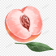 WWW,av922·COM网站APPAPP应用